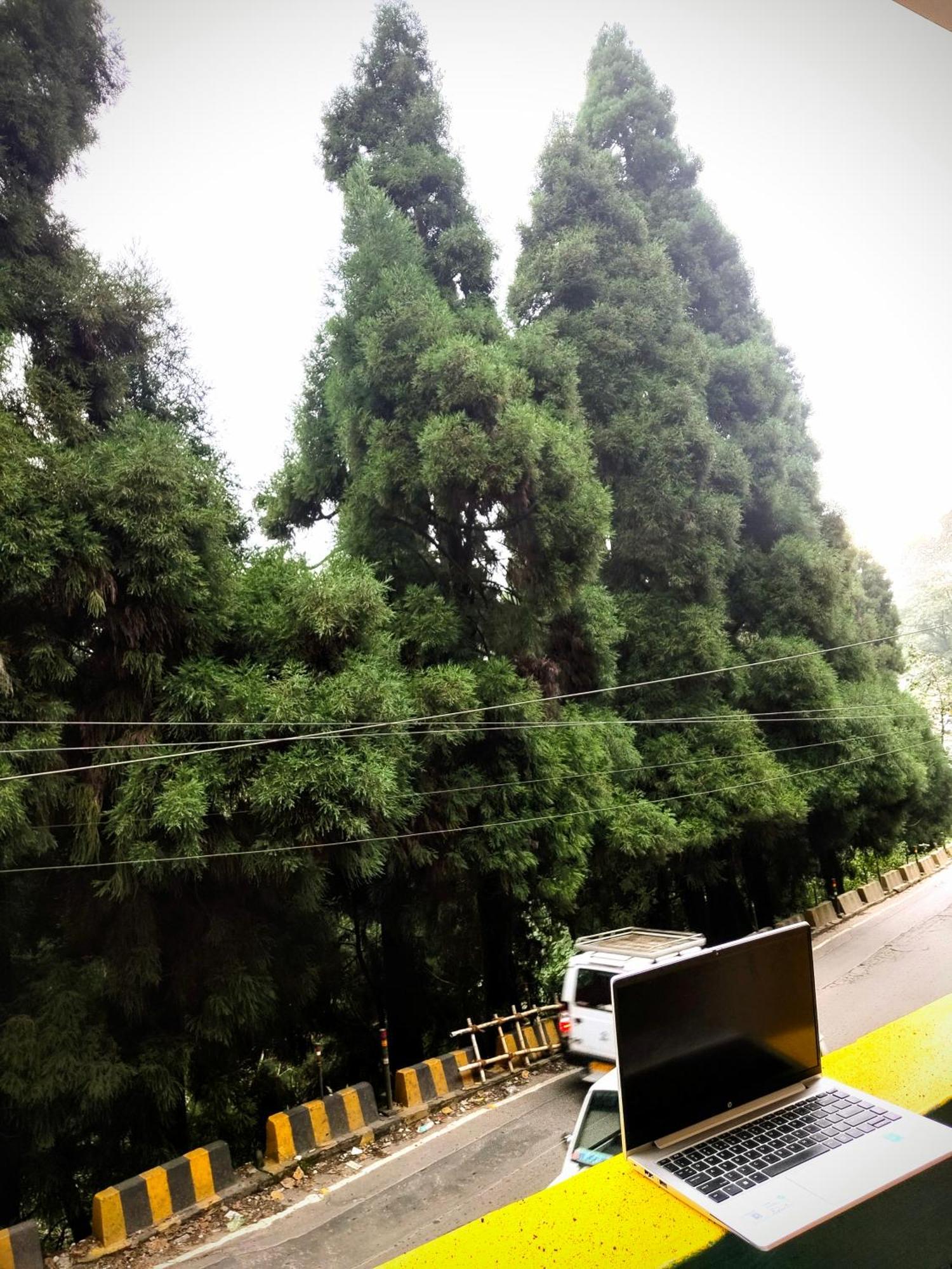 Hidden Monkey Backpackers Darjeeling, Batasia Darjeeling  Bagian luar foto