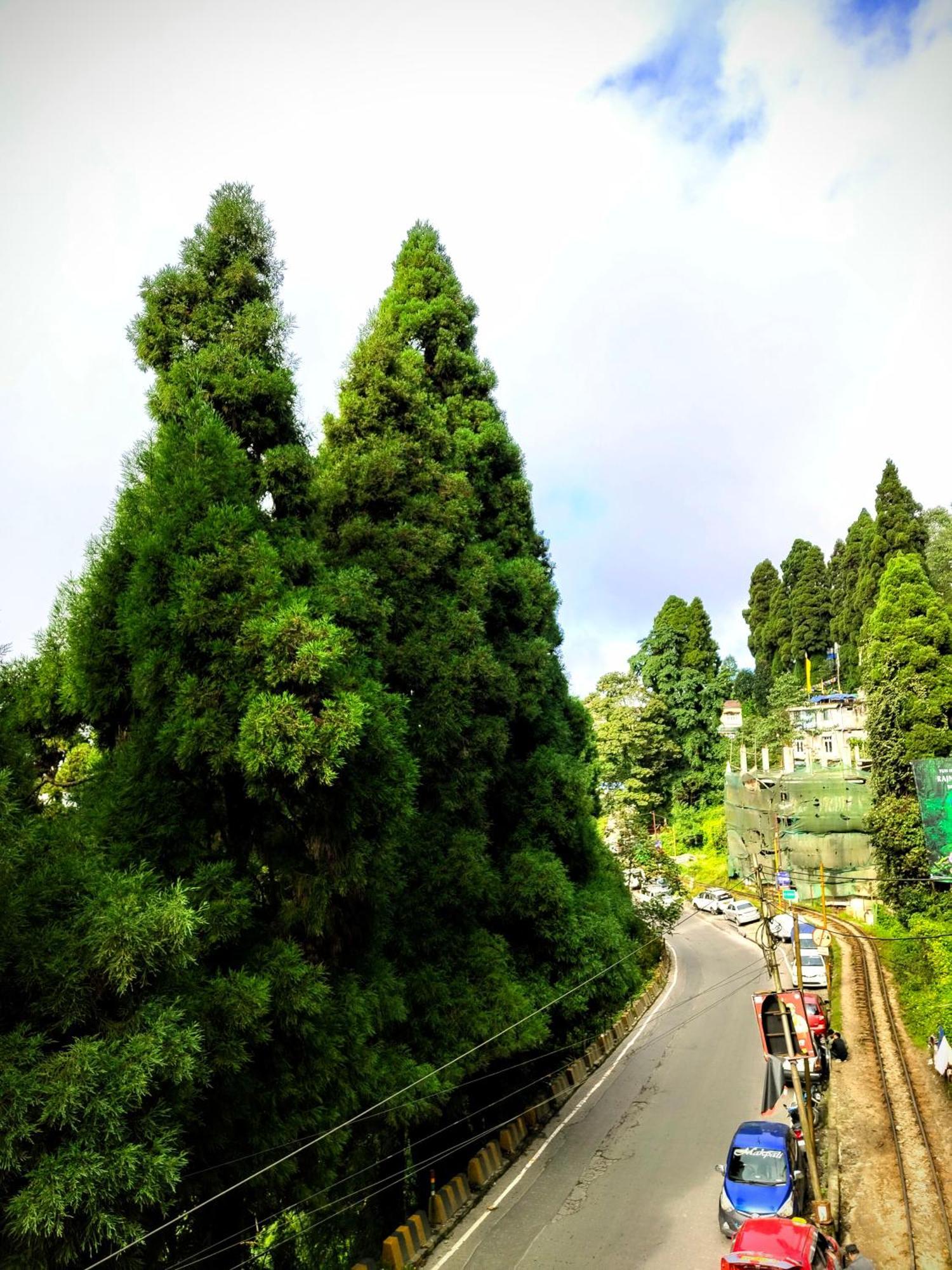 Hidden Monkey Backpackers Darjeeling, Batasia Darjeeling  Bagian luar foto